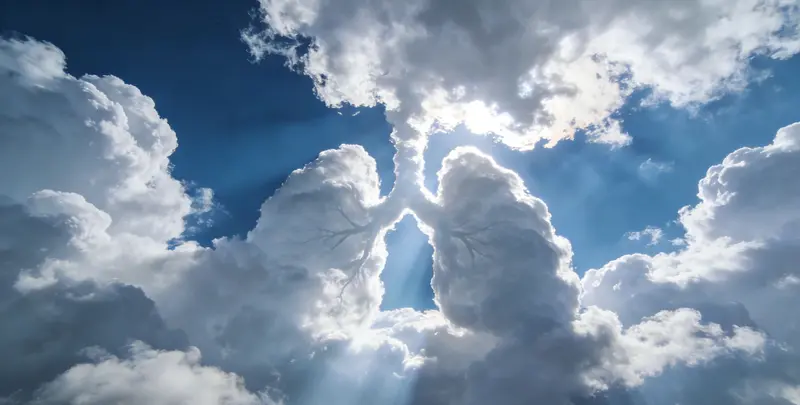 东营肺癌靶向120基因检测（组织）图片1