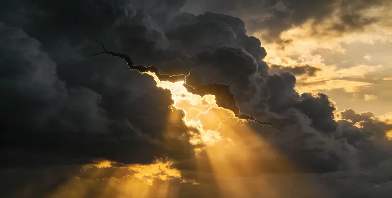 东营肺癌靶向39基因检测及PDL122C3表达检测套餐（组织）图片1