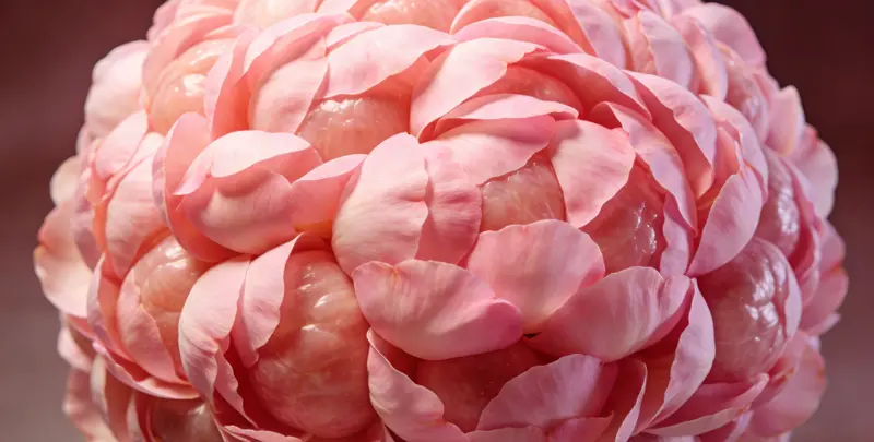 东营BRCA1/2乳腺癌卵巢癌基因检测图片1