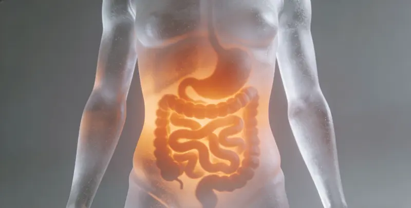 东营胃癌靶向用药39基因检测及PDL122C3表达检测套餐（组织）图片1